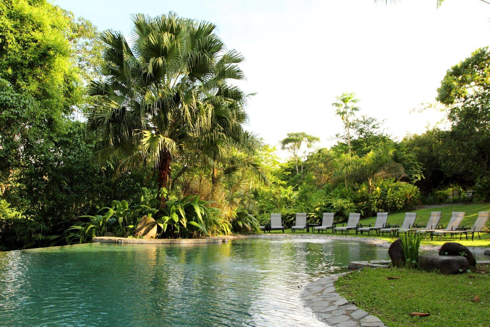 Sarapiquis Rainforest Lodge Exterior photo