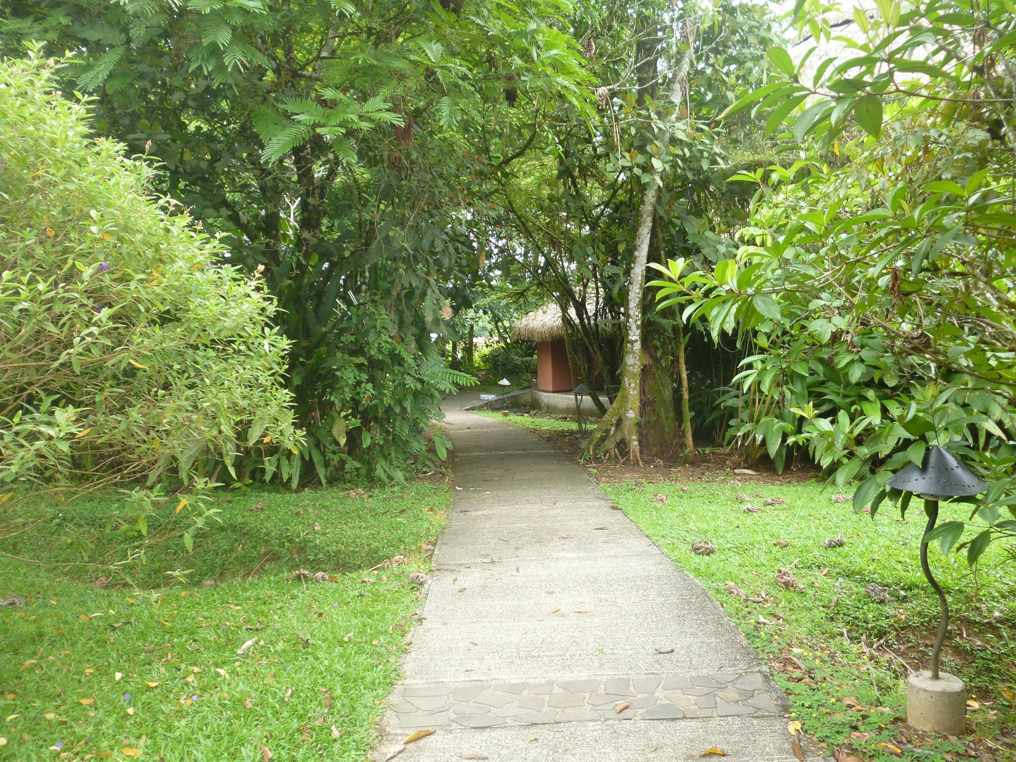 Sarapiquis Rainforest Lodge Exterior photo
