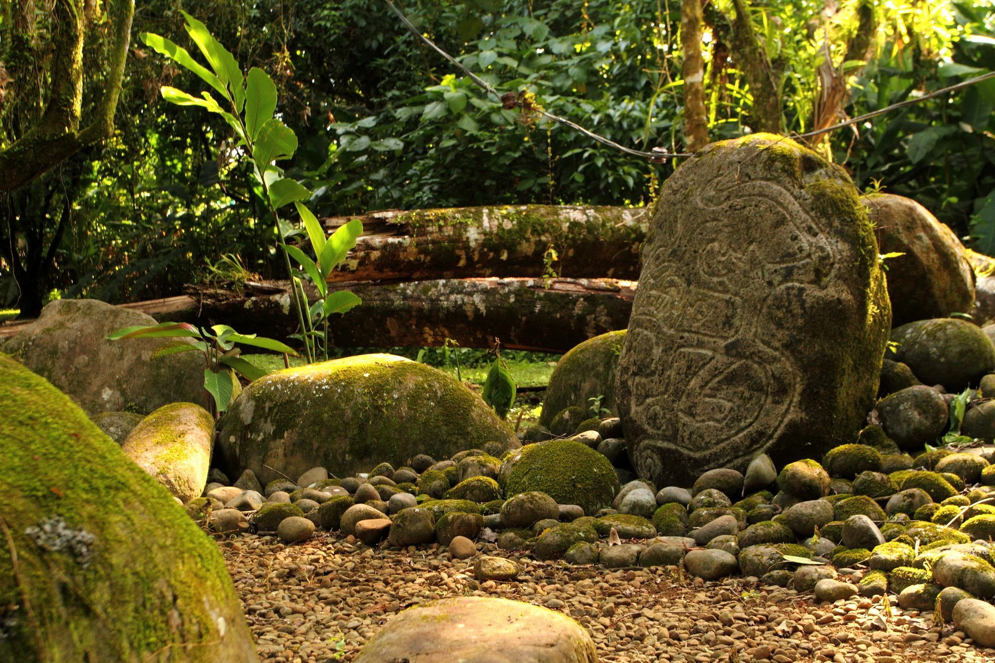 Sarapiquis Rainforest Lodge Exterior photo