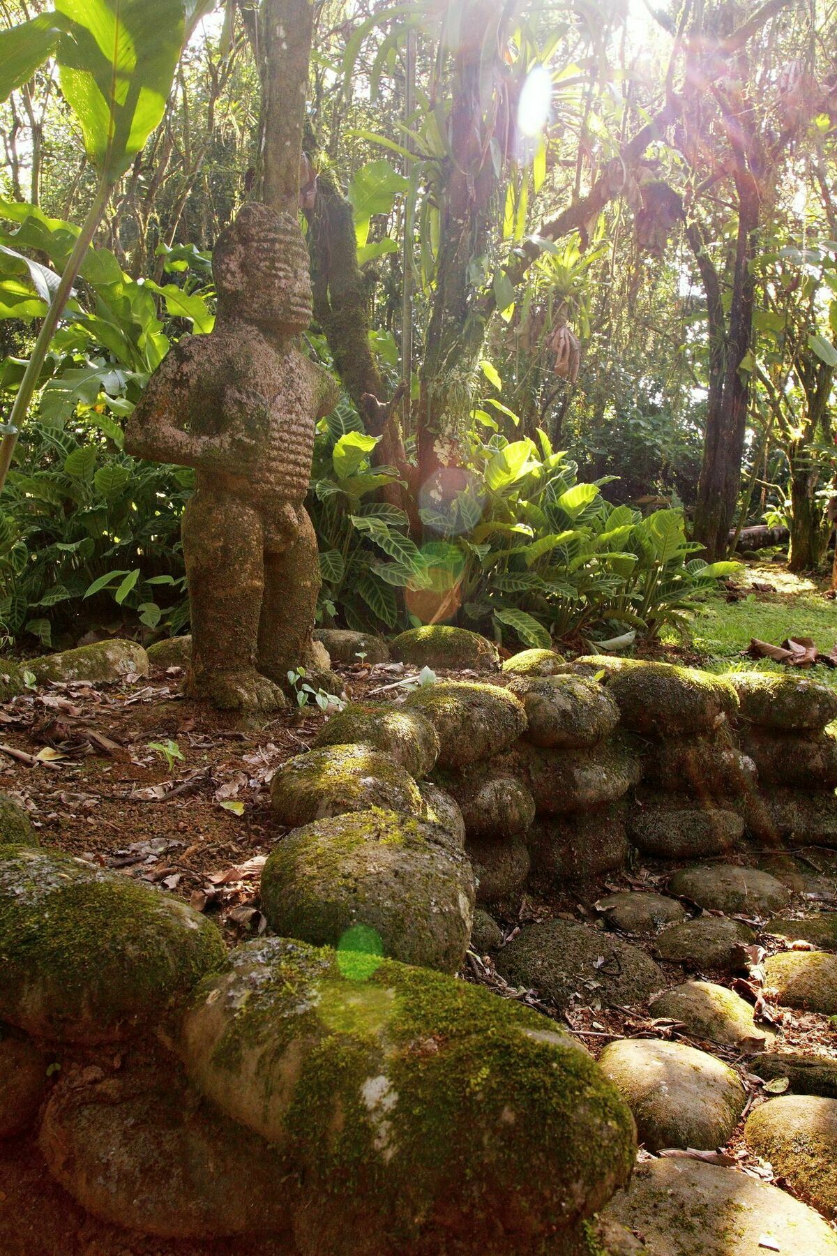 Sarapiquis Rainforest Lodge Exterior photo