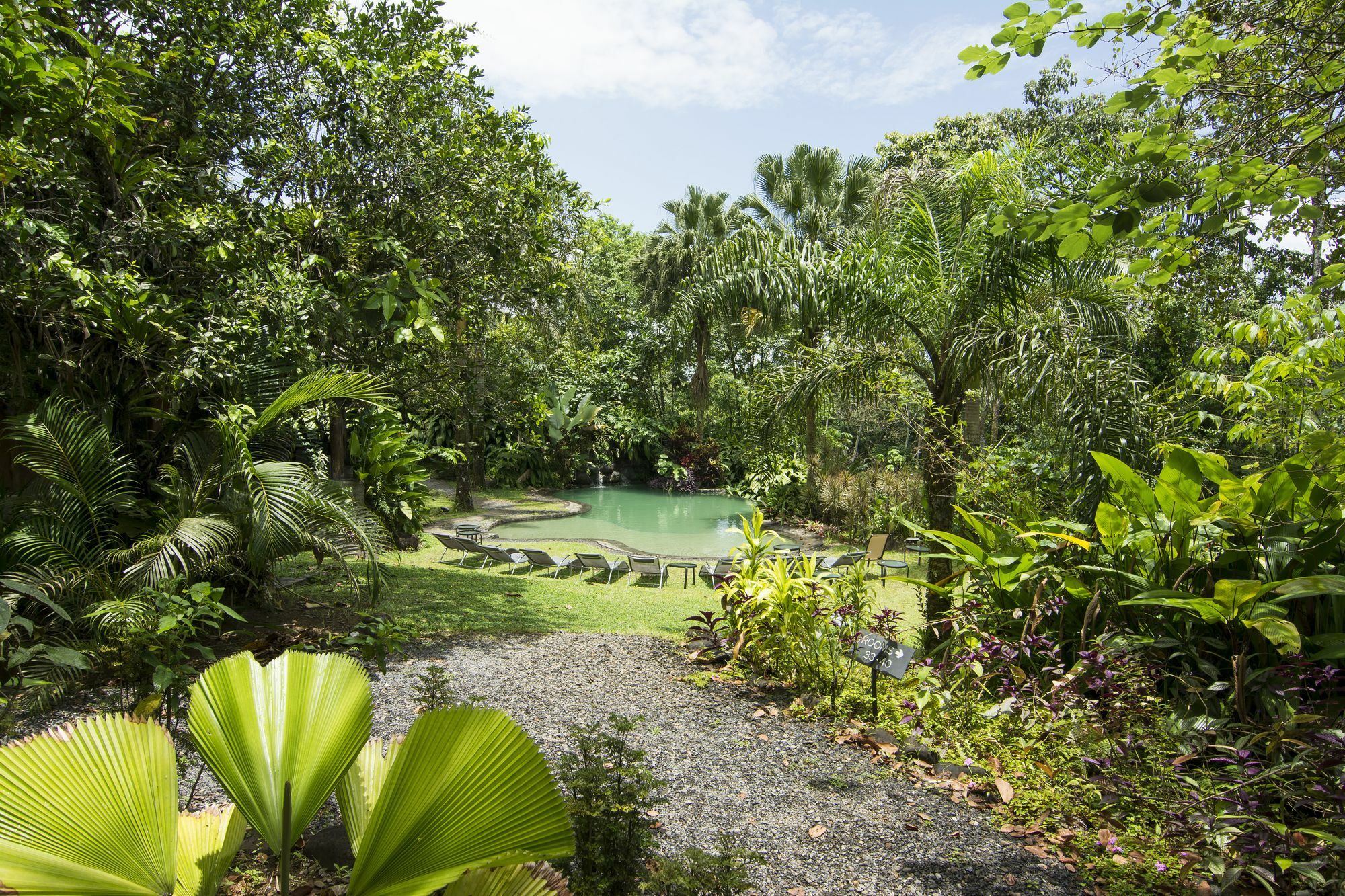 Sarapiquis Rainforest Lodge Exterior photo